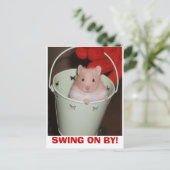 hamster briefkaart (Staand voorkant)