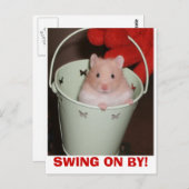 hamster briefkaart (Voorkant / Achterkant)