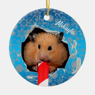 Hamster Chews Hole in kerstversiering Keramisch Ornament