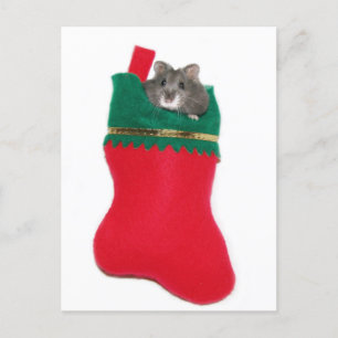 Hamster Christmas stocking Feestdagenkaart