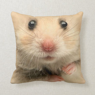hamster Coussin