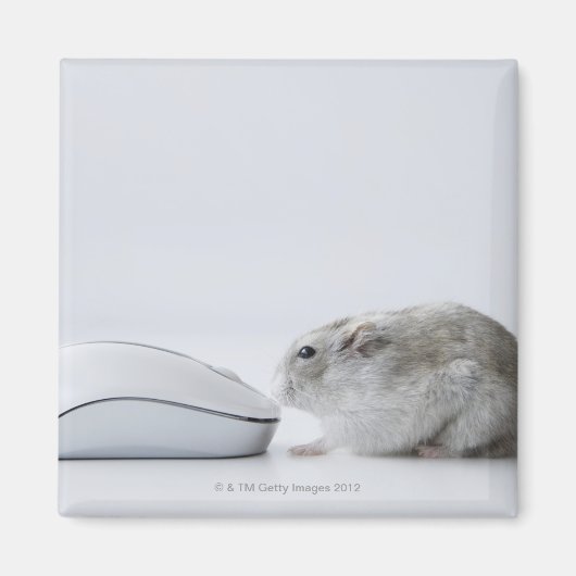Hamster en computermuis magneet (Voorkant)