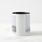 Hamster en computermuis mok (Midden)