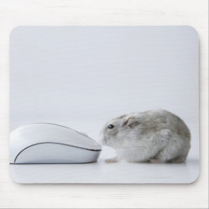 Hamster en computermuis muismat