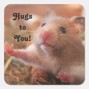 Hamster Hugs Vierkante Sticker