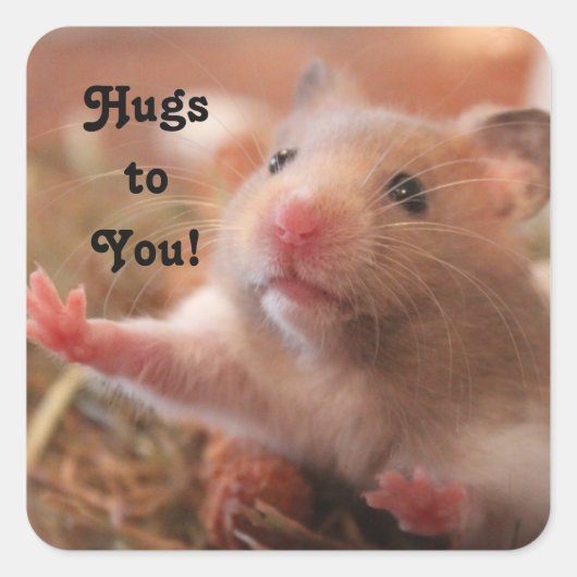 Hamster Hugs Vierkante Sticker (Voorkant)