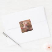 Hamster Hugs Vierkante Sticker (Envelop)