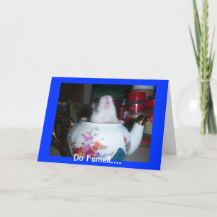 Hamster in theepot kaart