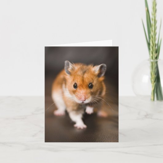 Hamster Kaart (Voorkant)