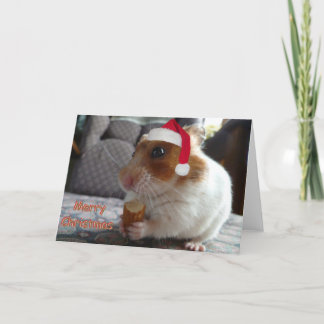 Hamster Kerst Kaart