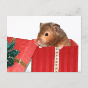 Hamster kerstcadeau feestdagenkaart