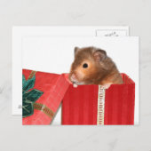 Hamster kerstcadeau feestdagenkaart (Voorkant / Achterkant)