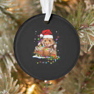 Hamster Kerstmis Ornament