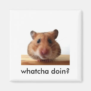 Hamster Magnet Magneet