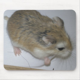 Hamster Mat Muismat
