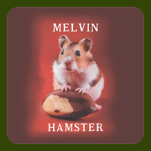 Hamster met Braziliaanse noot Vierkante Sticker