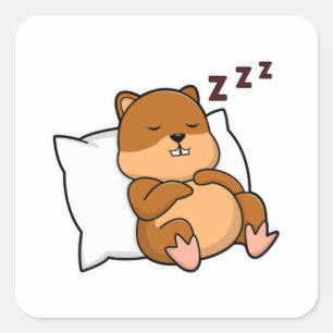 Hamster met Pillow Vierkante Sticker