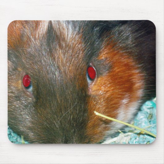Hamster Muismat (Voorkant)