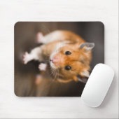 Hamster Muismat (Met muis)