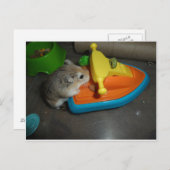Hamster op een Jet-ski Briefkaart (Voorkant / Achterkant)