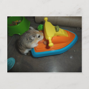 Hamster op een Jet-ski Briefkaart