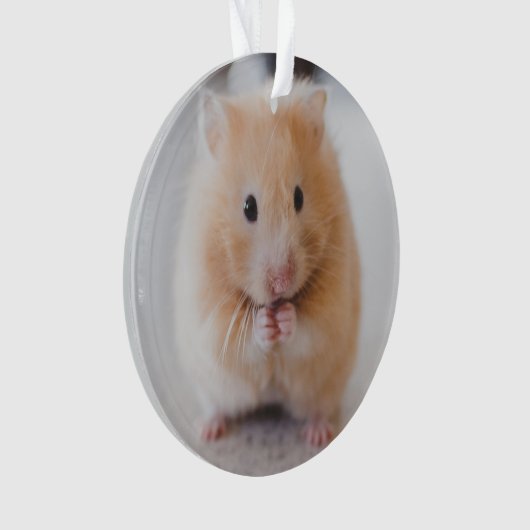 hamster ornament (voorkant)