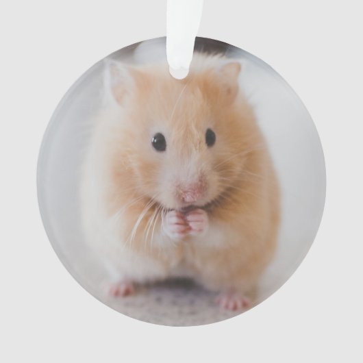 hamster ornament (voorkant)