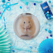 hamster papieren bordje (Feest)