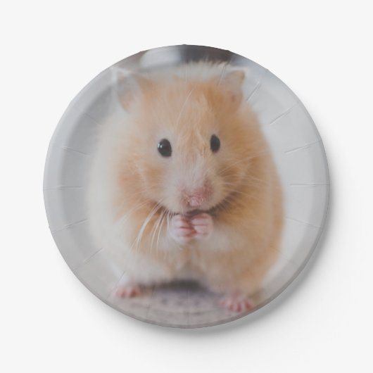 hamster papieren bordje (Voorkant)