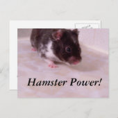 Hamster power Noah, Hamster Power! Briefkaart (Voorkant / Achterkant)