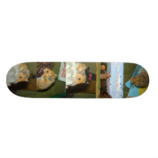 Hamster Skateboard