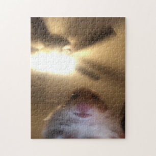 Hamster Staring Meme Legpuzzel