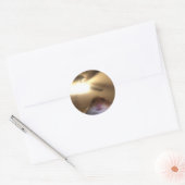 Hamster Staring Meme Ronde Sticker (Envelop)