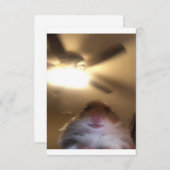 Hamster Staring Meme Save The Date (Voorkant / Achterkant)