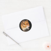 Hamster stickers (Envelop)