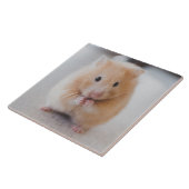 hamster tegeltje (Zijkant)