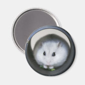 Hamster Tube Magnet Magneet (Voorkant / Achterkant)