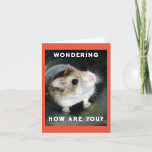 Hamster Wondering Note Card Kaart