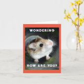 Hamster Wondering Note Card Kaart (Gele Bloem)