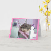 Hamster wordt beter kaart (Gele Bloem)