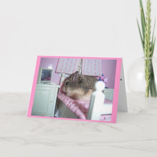 Hamster wordt beter kaart (Voorkant)