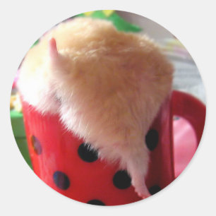 Hamsterkont Ronde Sticker