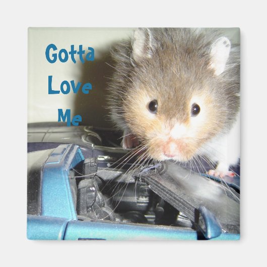 Hamsterliefde Magneet (Voorkant)
