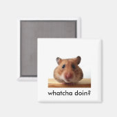 hamstermagneet magneet (Voorkant / Achterkant)