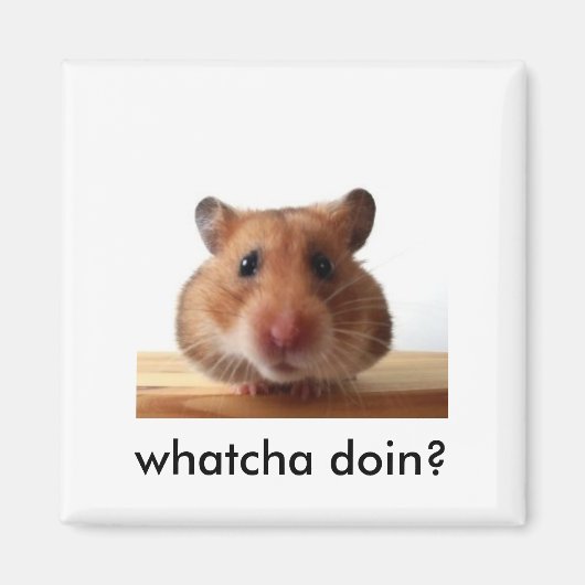 hamstermagneet magneet (Voorkant)