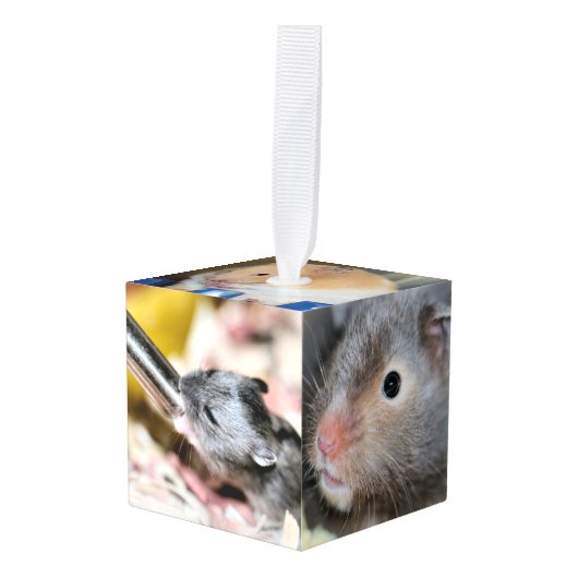 Hamsters Kubus Ornament (Voorkant hoekig)