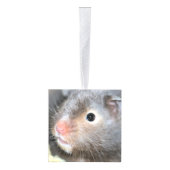 Hamsters Kubus Ornament (Rechts)