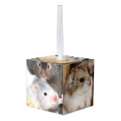 Hamsters Kubus Ornament (Achter hoekig)