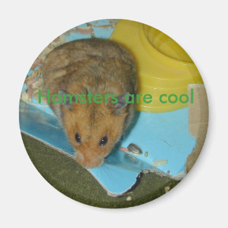 Hamsters zijn cool Magnet Magneet