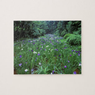 Hana Shobu (Japanse Water Iris), Meiji-schrijn, Legpuzzel
